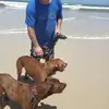 Ross Horton - @ross.horton - TikTok