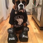 Ross_irvine_ - @ross__irvine_ - Instagram