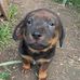 Ross Janes - Facebook
