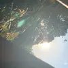 rossjanes505 - @rossjanes505 - TikTok