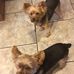 Ross Kelley - Facebook
