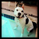 Ross Kelley - @the_real_rkelley - Instagram