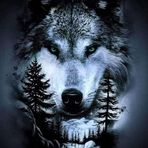Ross Landry - Facebook