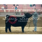 Ross Klitz - @klitzross - Instagram