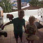 Ross Lloyd - @ross.lloyd.16 - Instagram