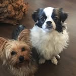 Karen Gann Ross Maynard - @karenoross - Instagram
