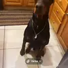 Ross McClain rules - @17andsavage - TikTok