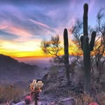 Ross McCray - @rossmac888 - Instagram