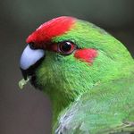 Ross McIvor - @ross.mcivor.37 - Instagram