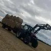 ross_murray115 - @ross_murray115 - TikTok
