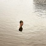 Ross Murray - @rwmurray05 - Instagram