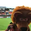 Rossmurray  - @rossmurray21 - TikTok
