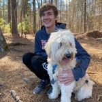 Ross Petersen - @rosshpetersen - Instagram