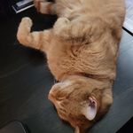 Ross Sanders - @rosssanders3 - Instagram