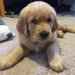 Obie Rick Ross Schmidt - @adventureswithobie - Instagram