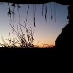 Ross Schmidt - @you_cant_rope_the_wind - Instagram