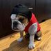 Ross Sheppard - Facebook