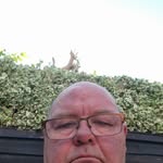 Ross Thomson - @rossthomson833 - Instagram