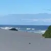 ross.tierney112 - @ross.tierney112 - TikTok
