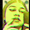 leyla.das.wahlross - @leyla.das.wahlross - TikTok