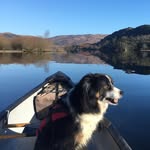 Ross Wallace - @roving_ross - Instagram
