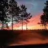 Ross Wallace - @ross.wallace1 - TikTok