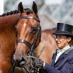 Jayne Ross (Webber) - @jayne_ross_horses - Instagram
