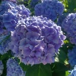 Ross Welsh - @rwgardeningservices - Instagram