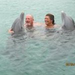 Ross Whitehead - @ross1957 - Instagram