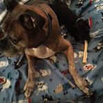 Ross Whitehead - @rcwhitehead - Instagram