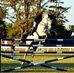Ross Wilhelm - Facebook