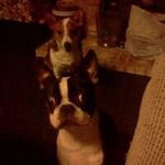 Winslow Ross - @winslowross - Instagram