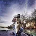 Ross Wright - @rossfwright - Instagram