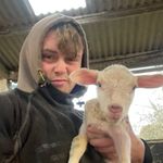@ross_wyatt2530 - Instagram
