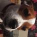 Ross Wyatt - Facebook