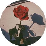 Rossana Paredes - @rossana705 - Instagram