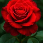 Rossy Jimenez - Facebook