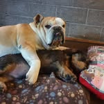 rosy baronchelli - @rosybaronchelli - Instagram