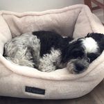 Rowan Campbell - @_rowan_campbell_ - Instagram