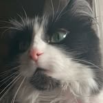 Rowan Carroll - @r0w4ncrrol - Instagram