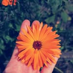 Rowan - @_____rowan.foster_ur.f - Instagram