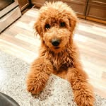 Rowan Foster - @rowanfoster1 - Instagram