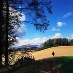 Guy Rowan Hamilton - @guy_rowanhamilton - Instagram