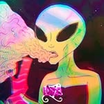@rowan.hicks.4213097 - Instagram