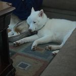 Rowan Jones - @rowan_backup_ipad - Instagram
