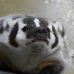 Rowan Jones - @rowan.jones.03 - Instagram