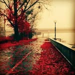 rowan _nasr♡ - @_narowan - Instagram