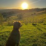 Rowan Scott - Facebook