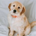 Rowan Swanson - Facebook