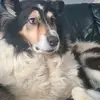 Rowan - @rowanhowells3 - TikTok